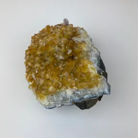 Citrine Crystal Druze (1.2kg)