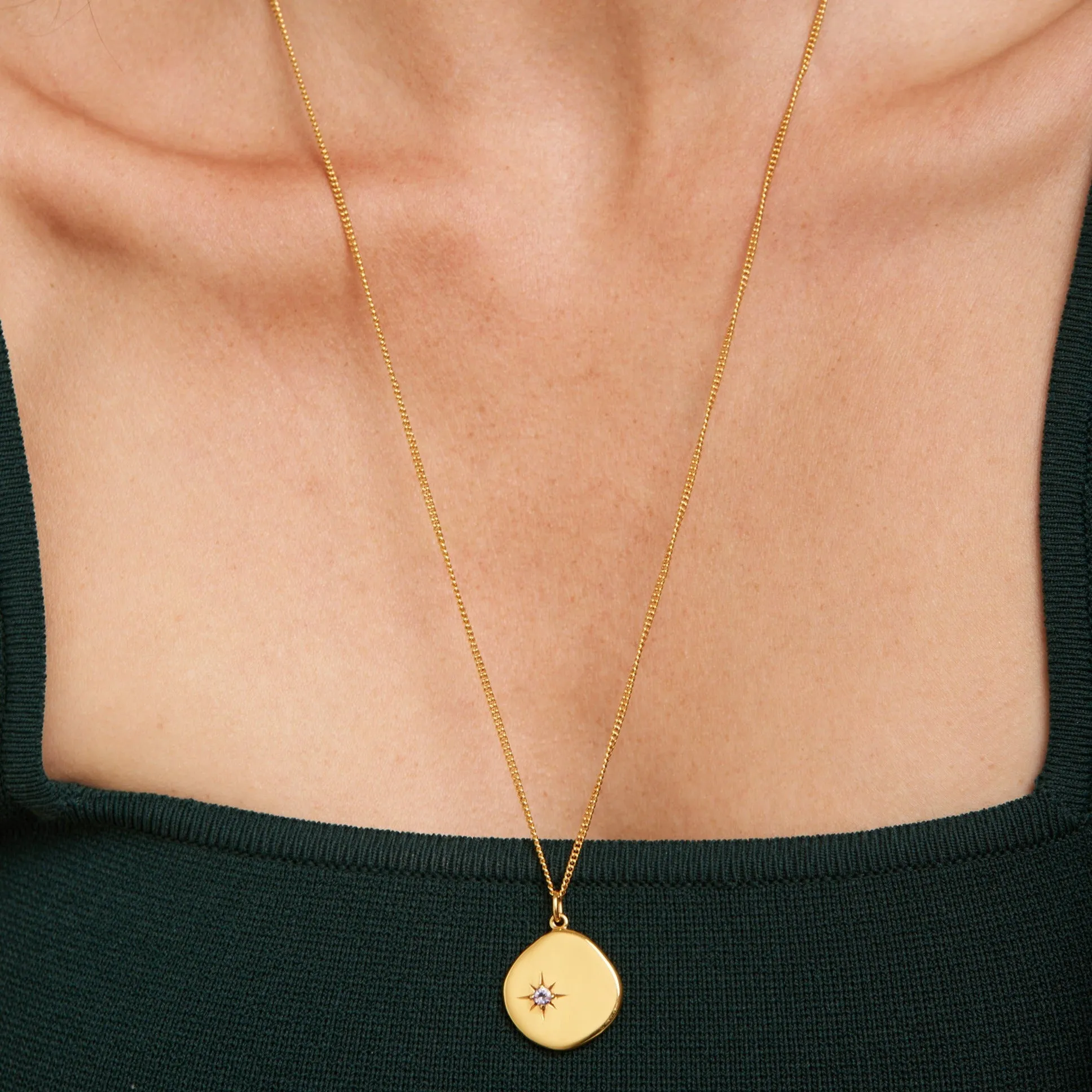 February Birthstone Necklace - 18 karat gold vermeil on sterling silver, amethyst