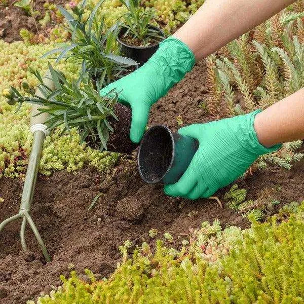 FifthPulse Biodegradable Disposable Nitrile Gloves Green – 150 Count