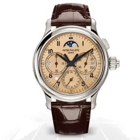 Patek Philippe	Grand Complications Monopusher Perpetual Calendar Chronograph	5372P-010