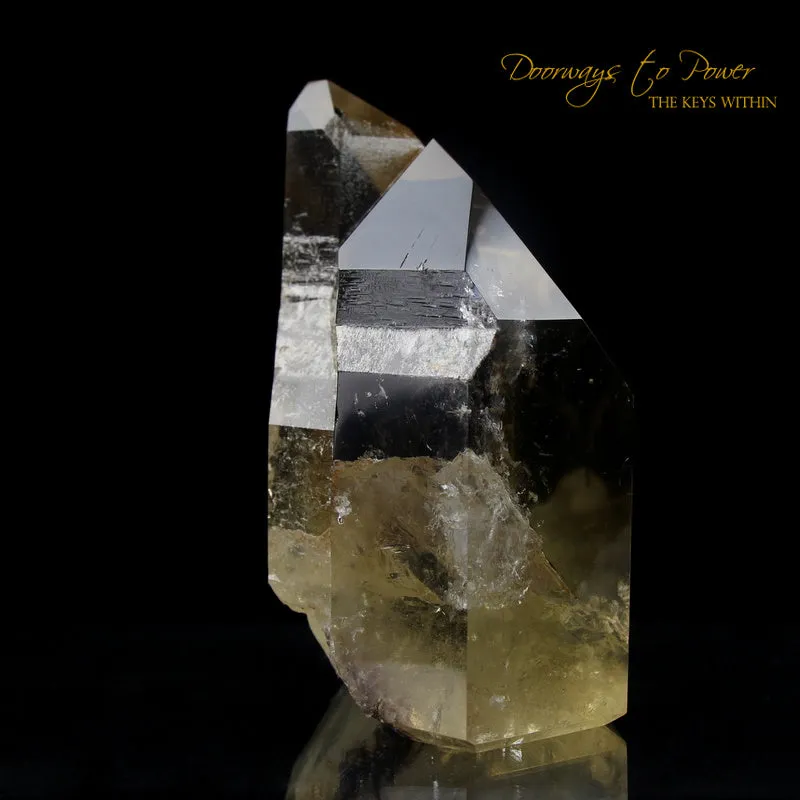 Pure Citrine Quartz Abundance Crystal 'Collectors Quality' A   