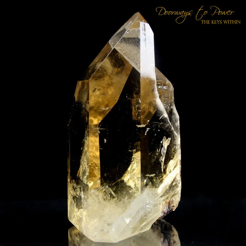 Pure Citrine Quartz Abundance Crystal 'Collectors Quality' A   