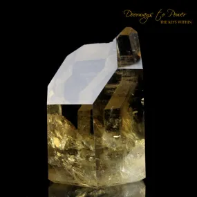 Pure Citrine Quartz Abundance Crystal 'Collectors Quality' A   