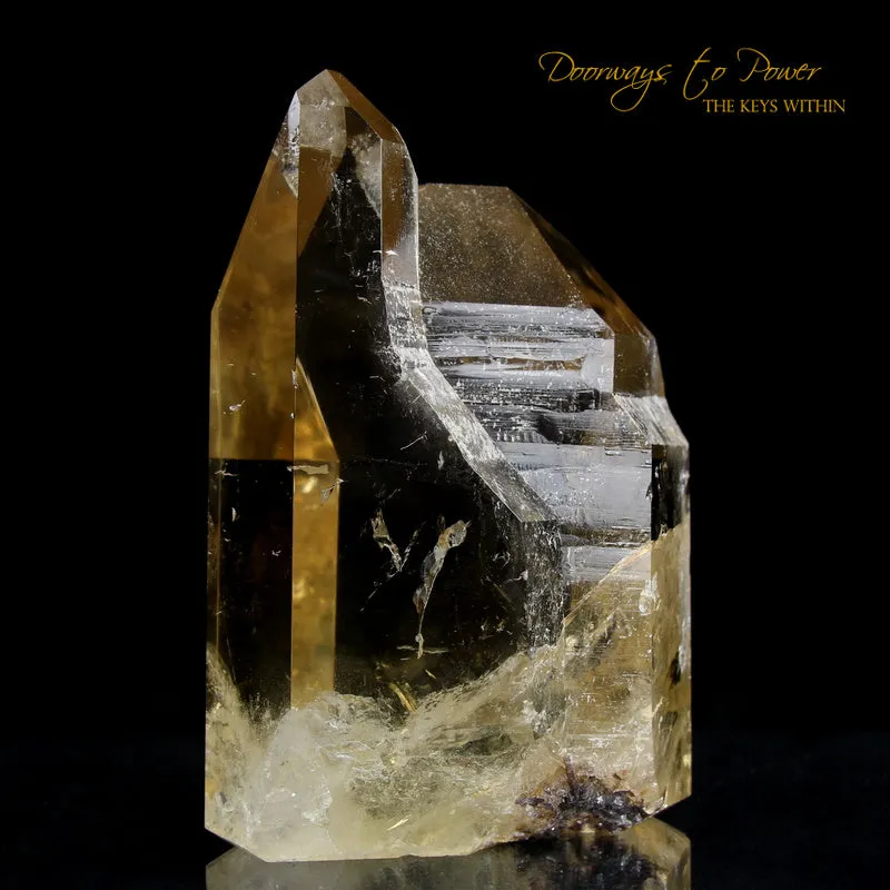 Pure Citrine Quartz Abundance Crystal 'Collectors Quality' A   