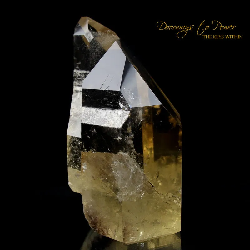 Pure Citrine Quartz Abundance Crystal 'Collectors Quality' A   