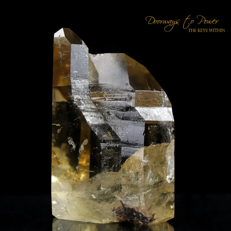 Pure Citrine Quartz Abundance Crystal 'Collectors Quality' A   